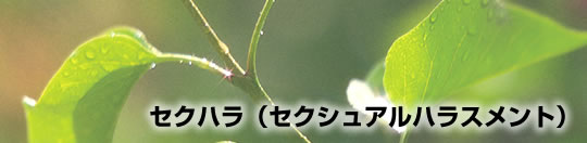 セクハラ(セクシュアルハラスメント)相談